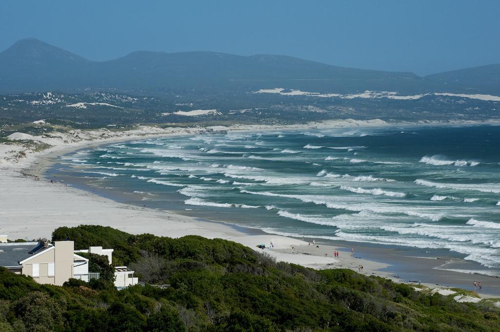 Lavender Manor Guest Lodge Hermanus Exteriör bild